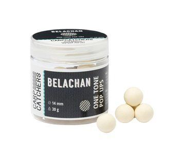 Бойли pop-up Carp Catchers &laquo;Belachan&raquo; 14mm
