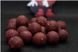 DUDI Boilies "Forest Squid" Tari 20mm 1kg, 20, Прикормочні