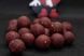 DUDI Boilies "Forest Squid" Solubile 24mm 1kg, 24, Прикормочні