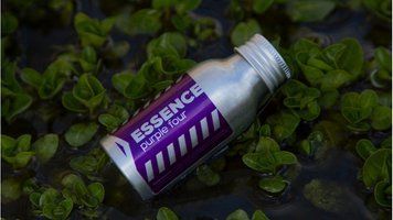 Essence - Purple Four Iron Fish