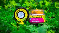 Бойл насадочний розчинний Pinapple & N-bityric – 12 мм